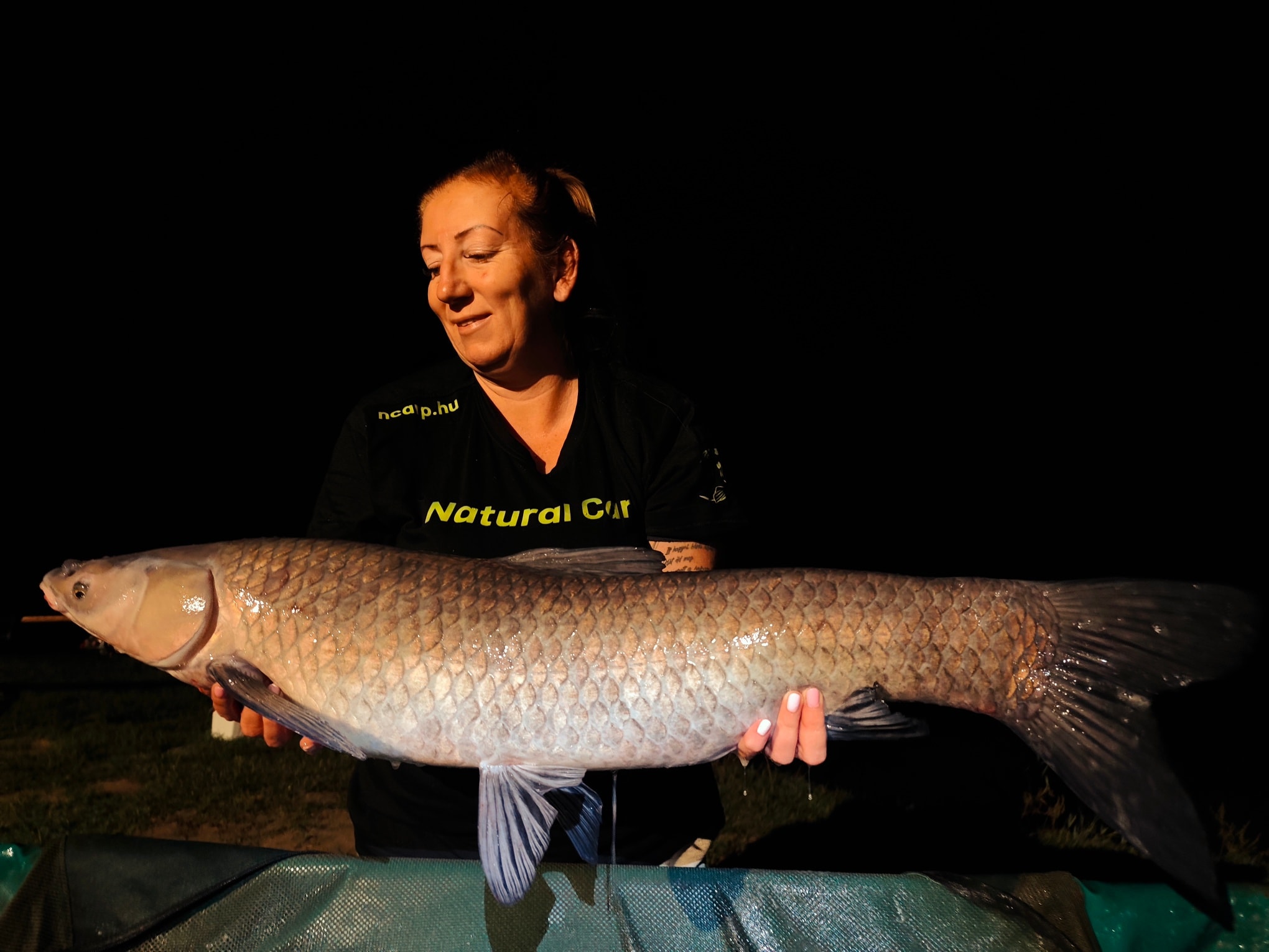 564195808 122141670878717401 8096326249329566965 n