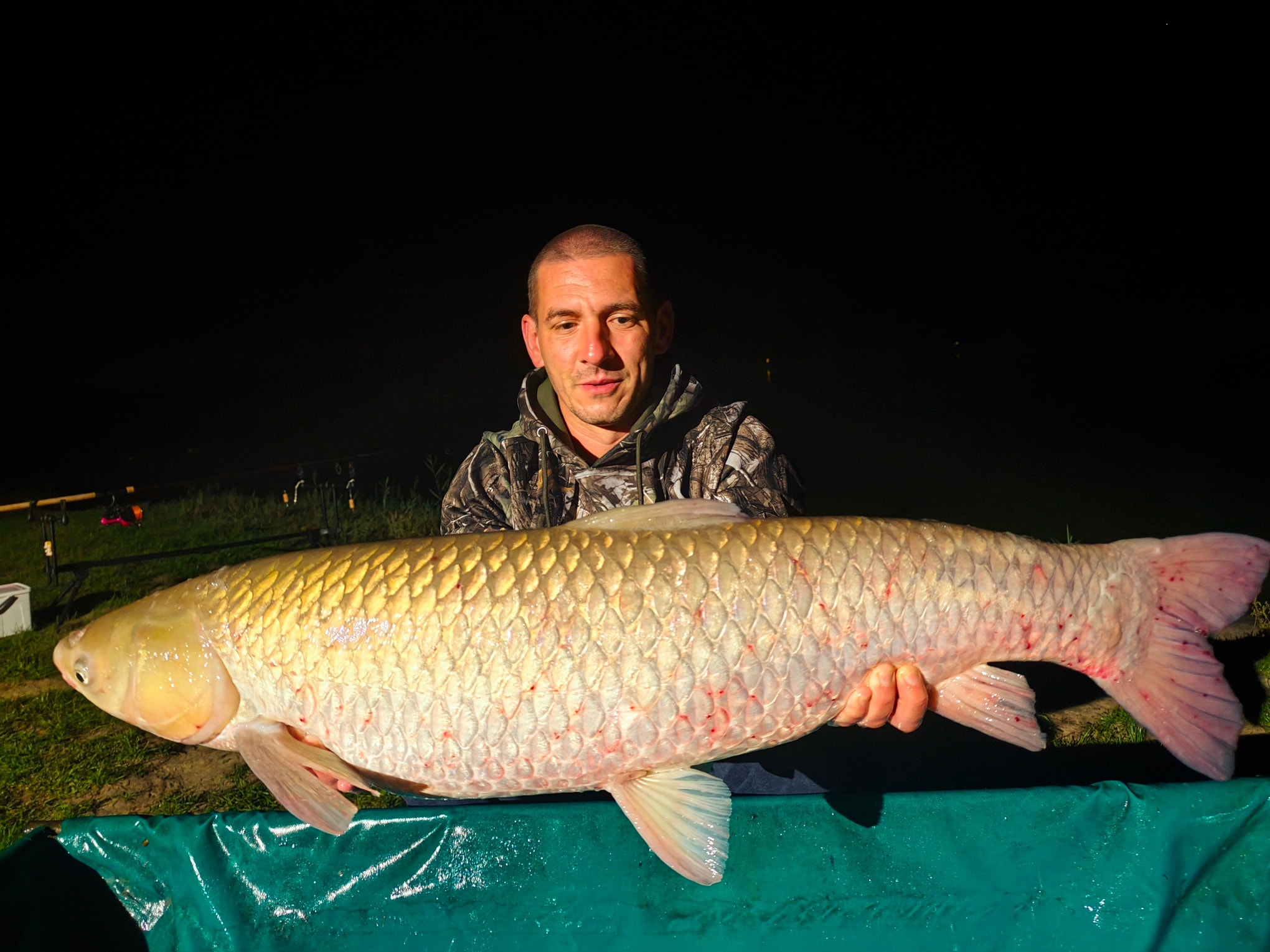 565053413 122141670896717401 8378051554498714961 n