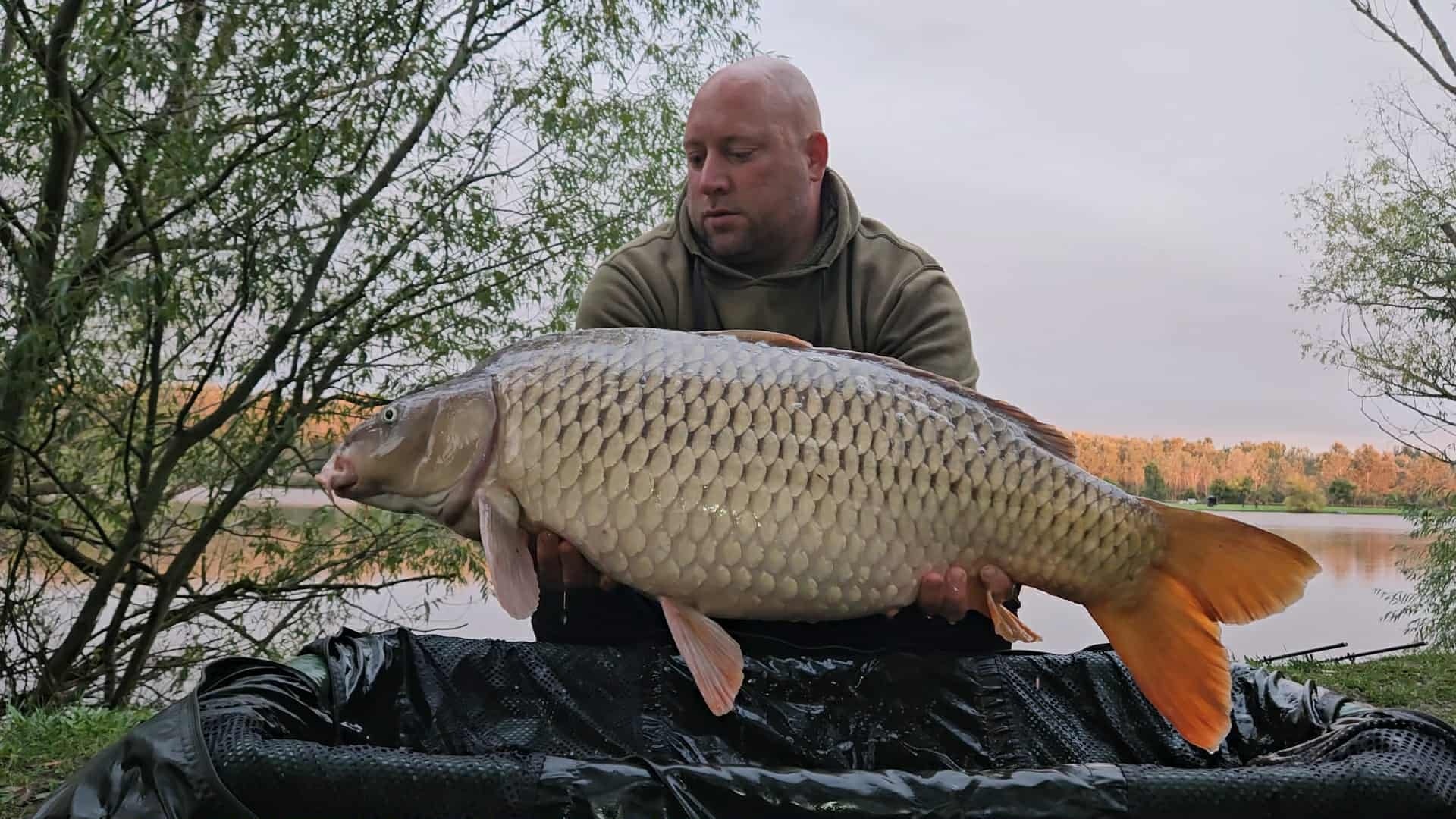 575145416 122143377740717401 5989632611565445380 n